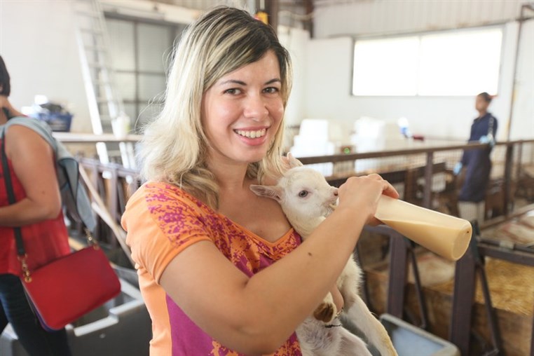 Dairy Khoury Farm Gates Opening